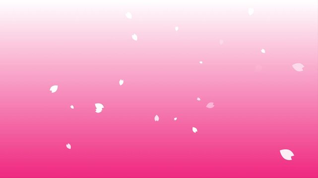 白い桜吹雪とピンクのグラデーション背景素材　4Kアニメーション　ループ可能