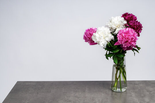 beautiful bouquet of mixed white, pink, and burgundy peonies in a glass vase standing on a grey concrete table with copy space.  Paeonia lactiflora.