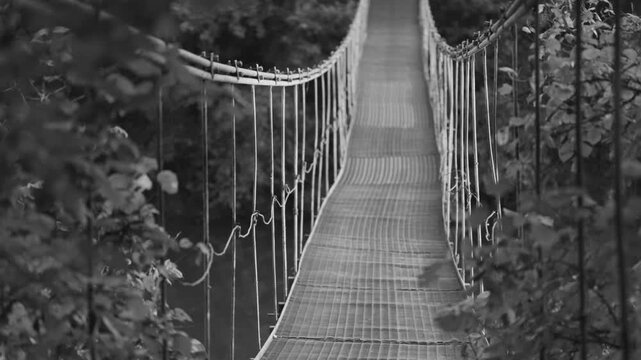 A black and white shot of a long suspension footbridge stretching across a river, surrounded by dense forest trees and softly framed by blurred foreground leaves.