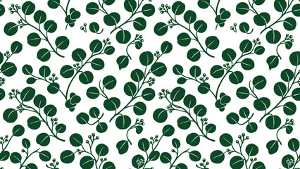 Seamless eucalyptus leaves pattern on white background © Dijee Art
