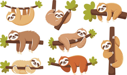 Fototapeta premium Cute Cartoon Sloth Vector Character Set with Playful Wild Animals Sleeping Hanging and Climbing on Tree Branches for Children Sticker and Nursery Designs