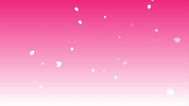 白い桜吹雪とピンクのグラデーション背景素材　4Kアニメーション　ループ可能