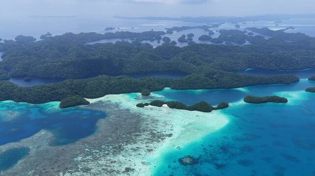 Biodiverse coral reefs thrive amid Palau's scenic Rock Islands. This extraordinarily beautiful island-nation is a popular destination for divers, snorkelers, kayakers, and World War II historians. 