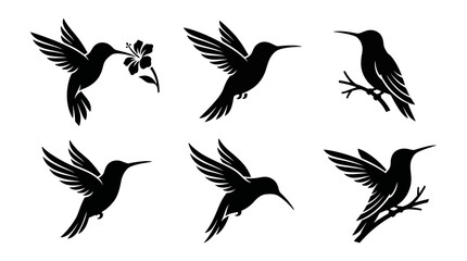 Naklejka premium different black hummingbird silhouettes on a clean white background, minimalist vector style.