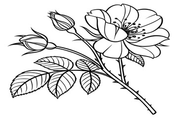 Naklejka premium coloring page line art the floribunda rose flower black vector