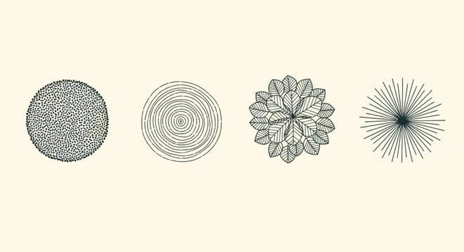 abstract circular patterns organic and geometric designs minimal vector graphics