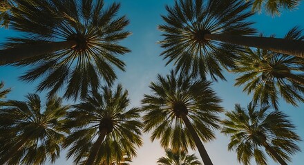 Fototapeta premium Lush green palm trees framed upward against a vibrant blue sky, evoking tropical summer vacation vibes.