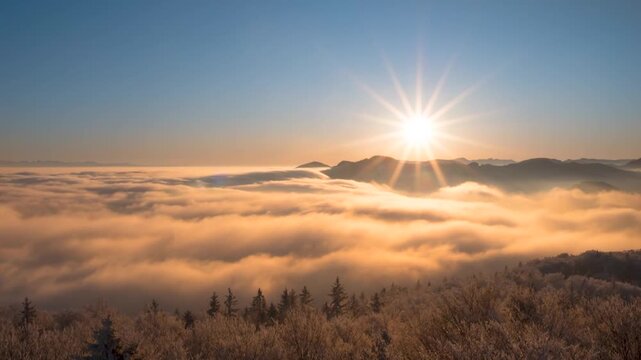 Stunning sunrise over a sea of clouds with snowcovered forest in the foreground