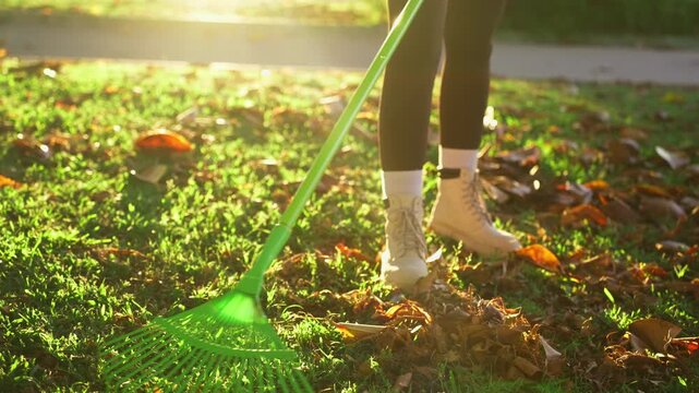Close-up of person raking dry autumn leaves from grass, highlighting seasonal yard work, home garden maintenance, and outdoor autumn chores.