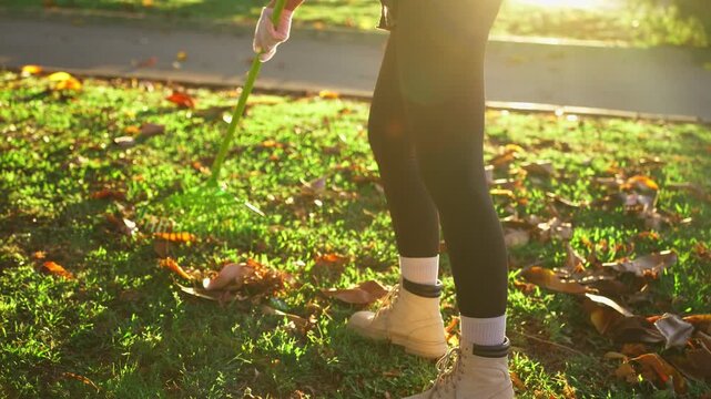 Close-up view of person wearing boots raking colorful fallen autumn leaves from green grass on sunny day, showing seasonal cleanup, gardening chores, and outdoor maintenance.