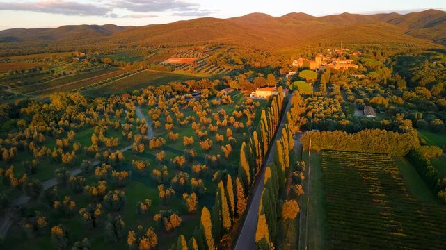 Bolgheri Tuscany Italy Aerial Drone Sunset Famous Cypress Road Avenue Viale dei Cipressi Cinematic Golden Hills Olive Groves Traditional Medieval Borgo Countryside Townscape 4K UHD