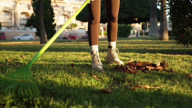 Close-up of a person's legs and feet raking dry fallen leaves from a lush green lawn in a park, performing seasonal yard work and cleanup with a green plastic rake during a sunny day