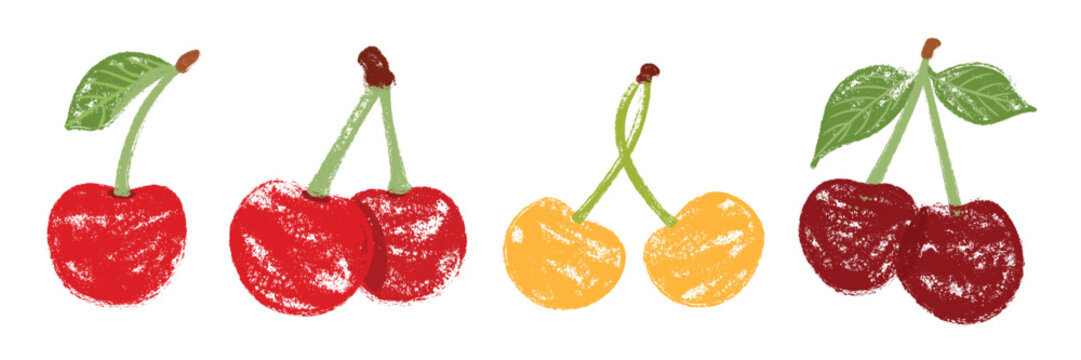Collection of red, yellow, and dark cherries in a rustic chalk textured style. Hand-drawn crayon sweet berry vector illustration isolated on white background for farm market and menu design.