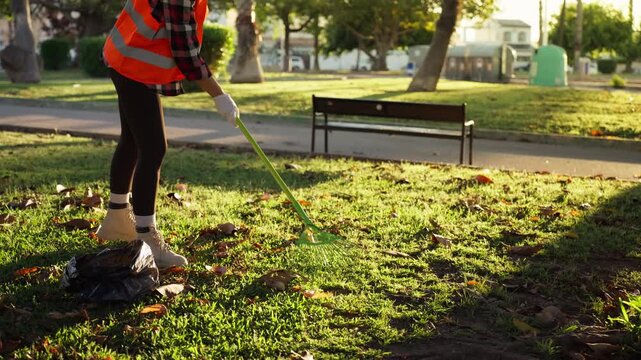 Female volunteer cleaning public park by raking fallen leaves, supporting community cleanup and environmental awareness in urban green space.