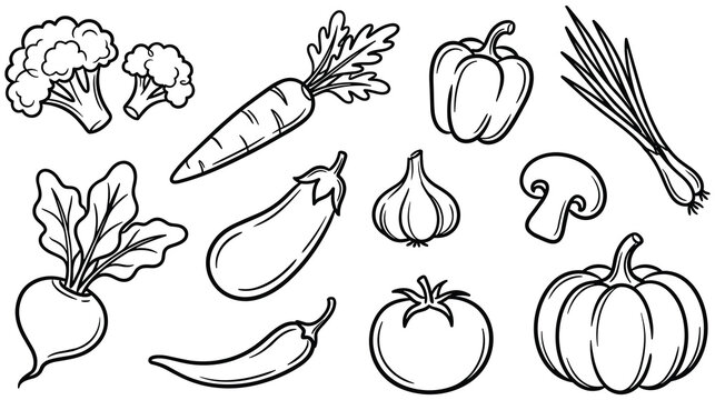 Set of various fresh vegetables in black and white outline style drawing.