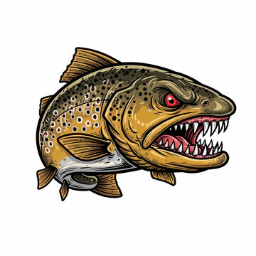 Angry brown trout fish illustration with sharp teeth and red eyes cartoon vector