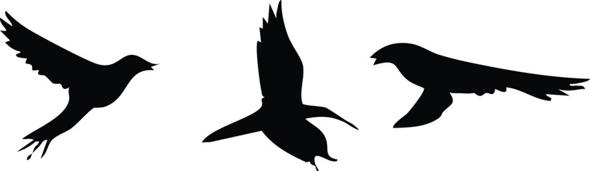 Three black silhouettes of birds in flight, dynamic avian movement. © Ayaz