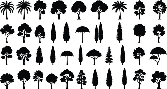 Black Silhouette Various Tree Species Collection Set Featuring Palm Cypress Umbrella Pine And Deciduous Trees On White Background