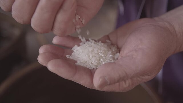 Uncooked raw white rice grains Korean grain agriculture product 대한민국 한국 생쌀 쌀 한국쌀 백미 도정 정밀 가공 곡물 농산물 식재료 밥짓기 탄수화물 주식 웰빙 건강식 자연식 친환경 유기농 신선식품 농촌 수확 풍요 가을 결실 로컬 푸드 전통의 맛 풍미 식문화 일상 집밥 요리 재료 마트 시장 풍경 활기찬 다