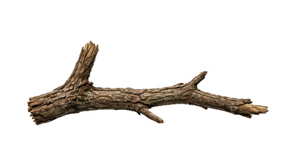 Fototapeta premium PNG Natural wooden branch isolated.