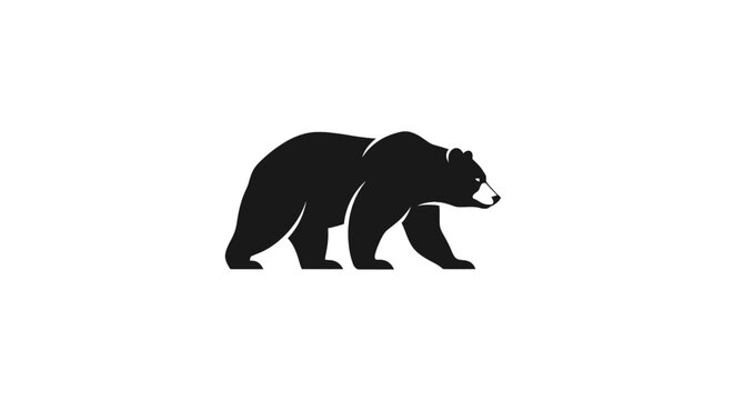 Black bear walking on ground.