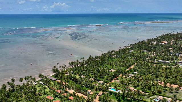 Patacho Beach In Sao Miguel Dos Milagres Alagoas Brazil. Aerial View Of Stunning Beach With Crystal Clear Waters. Coast Horizon Seaside Summertime. Coast Panoramic. Sao Miguel dos Milagres Alagoas.