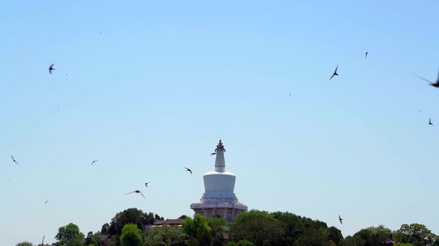 White Dagoba in Beihai Park Beijing with Birds in Clear Sky in Beihai Park, Beijing, China