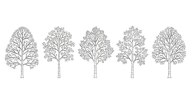 five different stylized bare tree outlines in a row vector illustration