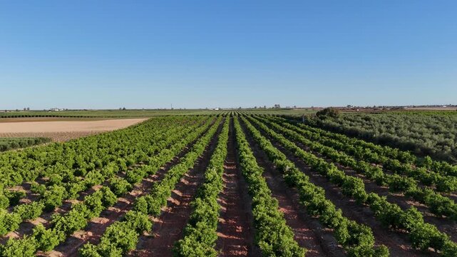 4K Aerial view flying backward over diverse agricultural fields and orange groves in Cordoba, Andalusia