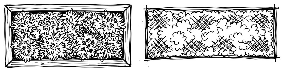 Garden planter boxes with flowers and bushes for landscape architectural plans hand drawn style © AnjaliDesai