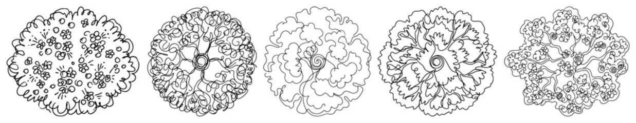 Tree top view plan symbols for landscape design in hand drawn style © AnjaliDesai