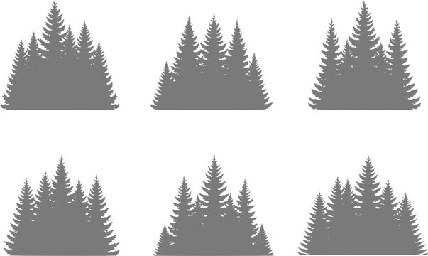 Six silhouettes of evergreen pine trees in a forest cluster