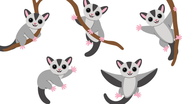 Cute sugar glider cartoon vector illustration set featuring adorable gliding possums climbing branches and flying isolated collection