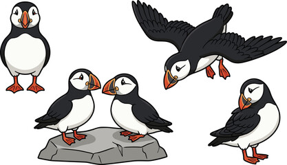 Cute puffin cartoon vector illustration set featuring adorable seabird poses flying and standing isolated arctic wildlife collection © MdNazmul