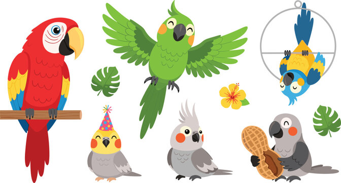 Cute parrot and cockatiel cartoon vector illustration set featuring colorful tropical birds flying perching and playful pet collection