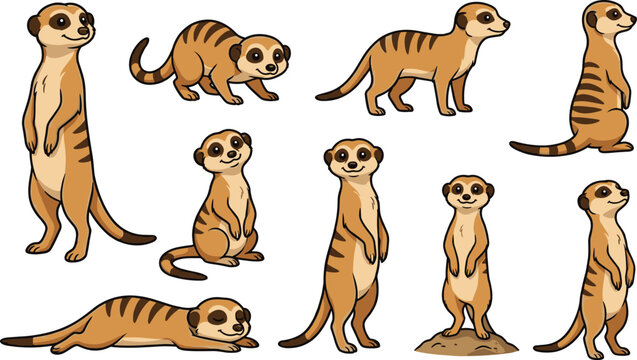 Cute meerkat cartoon vector illustration set featuring adorable safari animal poses isolated wildlife collection
