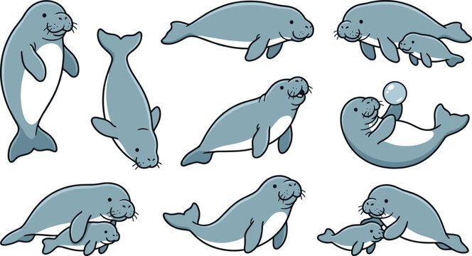 Cute manatee cartoon vector illustration set featuring adorable sea cow marine animal poses with baby isolated ocean wildlife collection
