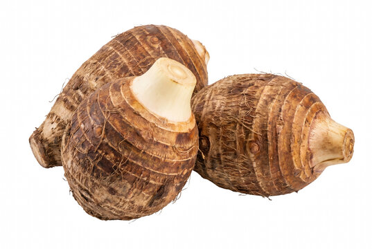 Group of raw taro root vegetables