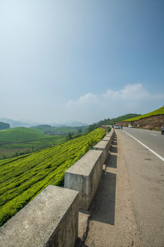 A breathtaking panoramic view of Munnar's unique topography, characterized by an endlessly rolling terrain of deep green valleys.