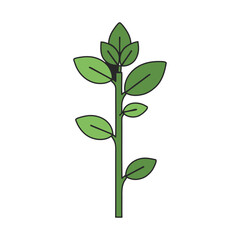 Fototapeta premium Green Plant Stem Vector