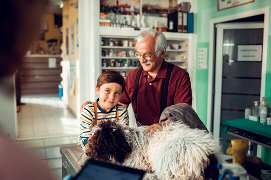 Boy and grandfather comforting dog at veterinary clinic