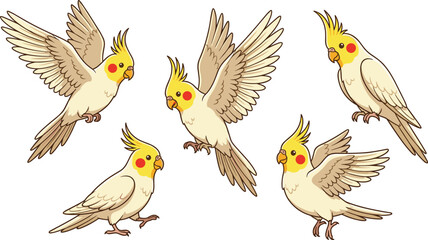 Obraz premium Cute cockatiel cartoon vector illustration set featuring adorable parrot bird poses flying and perched isolated pet collection