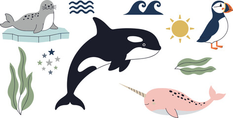 Cute arctic ocean animal cartoon vector illustration set featuring orca narwhal seal puffin and marine nature elements © MdNazmul