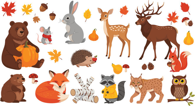 Cute autumn woodland animal cartoon vector illustration set featuring bear fox deer raccoon owl and forest creatures with fall leaves