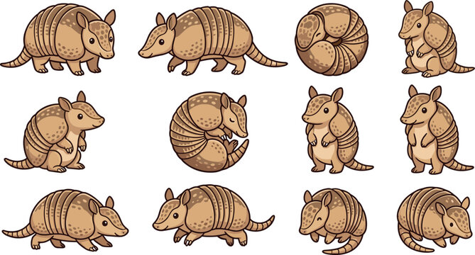 Cute armadillo cartoon vector illustration set featuring adorable armored animal poses isolated wildlife collection