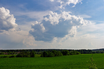 Obraz premium Fluffy white cumulus clouds drifting across a vast blue sky above a vibrant green meadow and a distant tree line, capturing a serene summer afternoon in the countryside
