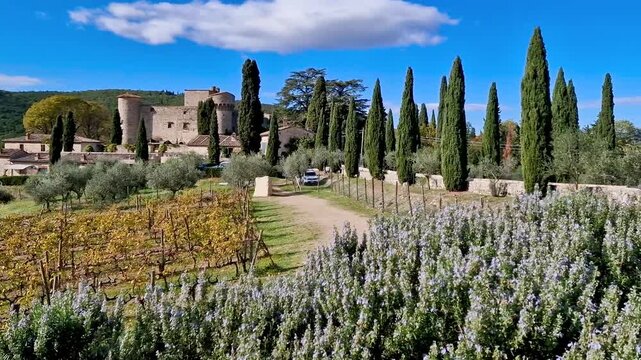 Castello di Meleto autumn vineyards view in Chianti wine region Italy 4k footage cinematic landscape with cypress trees rustic stone castle towers and fading lavender rows
