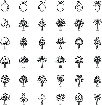 fruit tree collection black and white vector mega pack
