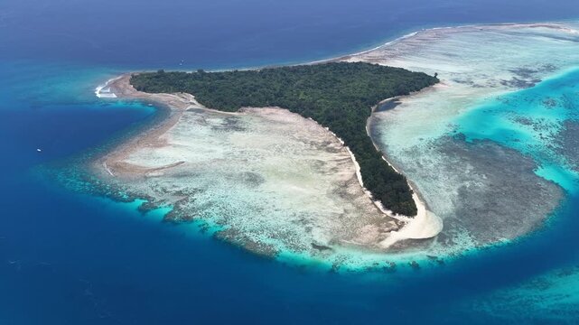 Healthy corals thrive along the edge of Ngerong Island in Palau. This extraordinarily beautiful island-nation is a popular destination for divers, snorkelers, kayakers, and World War II historians. 