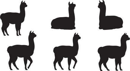 Naklejka premium Alpaca and llama animal silhouette collection showing different poses for wildlife farming and nature designs.